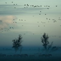 Heavling Waves_Deep Sleep,nature & Sounds Background,Ambient Music Therpy