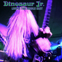Gargoyle_Dinosaur Jr.