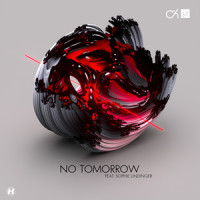 No Tomorrow_Camo & Krooked,Mefjus,Sophie Lindinger