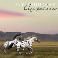 Appaloosa_Tony Saunders,Bill Champlain,Gino Vannelli