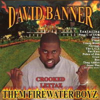 Twerk Something_David Banner