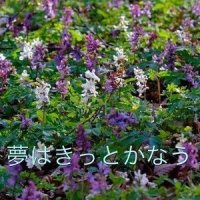 夢はきっとかなう_初音未来