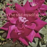 Lies I've told myself since you left_Doan,Doan Singh