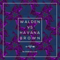 No Ordinary Love_Walden,Havana Brown,Funk Machine