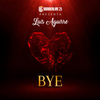 Bye_Luis Aguirre
