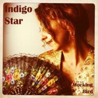 Sadie's Song_Indigo Star
