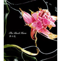針の雨_THE BACK HORN