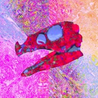 Still Pours_Kid Indigo