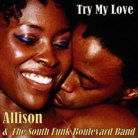 Try to Change Your Mind for Me_Allison,The South Funk Boulevard Band