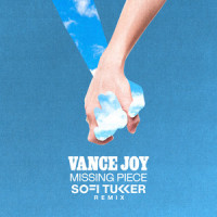 Missing Piece_Vance Joy