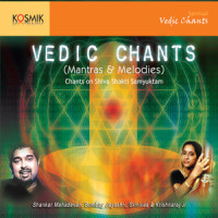 Durga Apad Uddharaka Stotram_Shankar Mahadevan,Bombay Jayashri,Srinivas,Krishnarajji