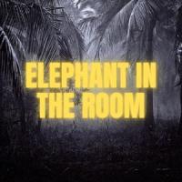 The Elephant in the Room_Alexander James,Alexander James Huebner