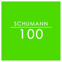 Schumann: Fantasiestücke, Op. 73 - I. Zart und mit Ausdruck_Kian Soltani,Aaron Pilsan