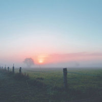 Whale Sounds_Spa,Spa Music Collective,Rain Man Sounds