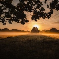 Lost with You_Sleepy Times,Rest & Relax Nature Sounds Artists,Nature Sound Collection