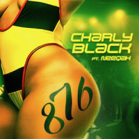 876_Charly Black,Neeqah,DESMOND MENDIZE,Donovan Bennett,SHANICA ALLEN