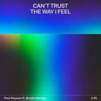 Can't Trust The Way I Feel_Paul Mayson,Brodie Barclay