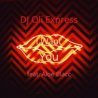 I Want You(Feat. Aloe Blacc)_DJ Oli Express,Aloe Blacc