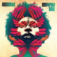 I Couldn't Love You More_Incognito,Vanessa Haynes
