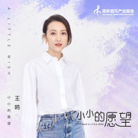 小小的愿望_王鸥