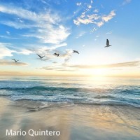Imaginations_Mario Quintero