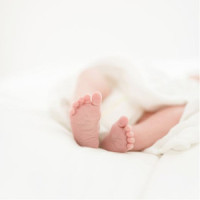 Raimond Lap - Lovely Little Night Music_胎教音乐