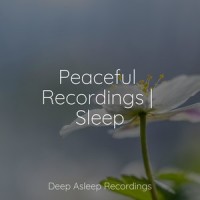 Relaxation Therapy_Mindfulness Meditation Universe,Deep Sleep,Meditation