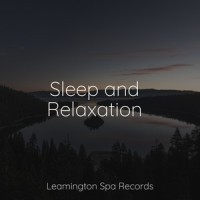 Mindful Waters_Pink Noise,Kings of Nature,Rain Recorders