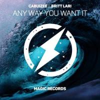 Any Way You Want It_Cabuizee,Britt,Michael Jared Caabay,Britt Lari