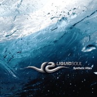 Crazy People_Liquid Soul