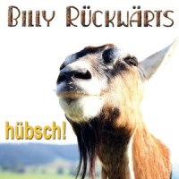 Winterschlaf_Billy Rückwärts,Götz Widmann