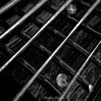 Piano Sonata No. 12 in F major, K. 332 (Bass section)_The Classical Orchestra Team,Wolfgang Amadeus Mozart