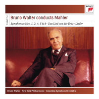VIII. Starke Einbildungskraft_Desi Halban,Gustav Mahler,Bruno Walter