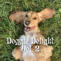 Cloudless Tempo_Sleepy Dogs,Music For Dogs With Anxiety,Home Alone Dog Music
