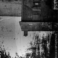 Day Dream_Rivilin,RipThePetals