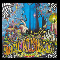 Are You Experienced_Magic Mushroom Band,Jimi Hendrix
