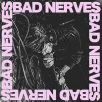 Mad Mind_Bad Nerves,Robert Clemson
