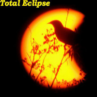 Cool Thing_Eric Johnson