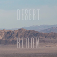 Desert Bloom_Earthquake Lights,Myles Rodenhouse,Cameron Underhill,James Digirolamo,Stephen Helms,Evan Douaihy