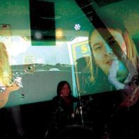 Elephant's Boogie_Joni Ekman,Koira