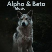 Good Vibe_Relax α Wave,Natural White Noise Relaxation,Spa Music & Meditation Collective