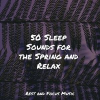 Woodwind Relaxations_Entspannungsmusik Meer,Spa,Sleeping Music
