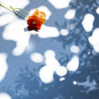 Slow Love_Ben Camden