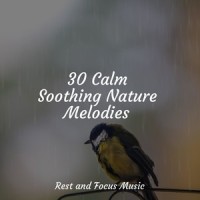 Rising to Heaven_Spa,Tinnitus,Relaxing Spa Music