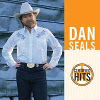 One Friend_Dan Seals