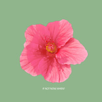 If Not Now, When?_AM Kidd