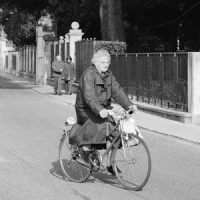 Ridin' with You_Jye,Felivand,Jye Peter Geltch,Felicity Sarah Vanderveen