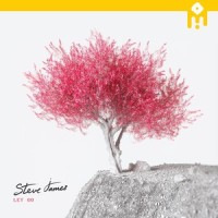 let go_Steve James