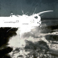 Human_Assemblage 23