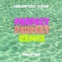 Perfect(Sit Down On My Lap)(feat. Roar)_Cameron Cole,Roar